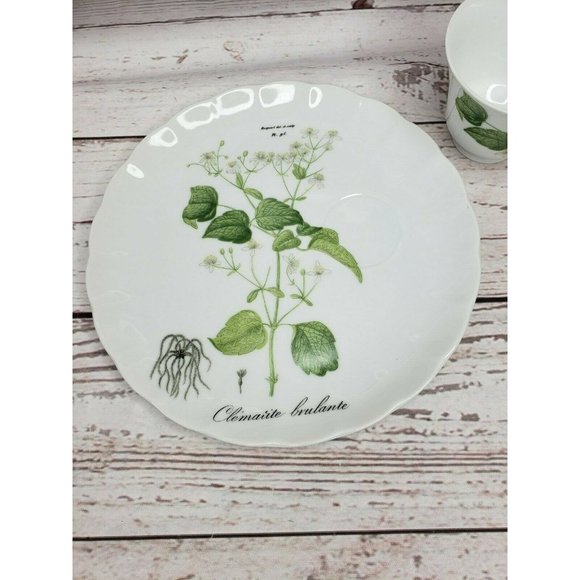 Vintage Hocquart Del Et Sculp Pl 95 Clematite Brulante Tea Cup And Plate Set - Picture 3 of 12